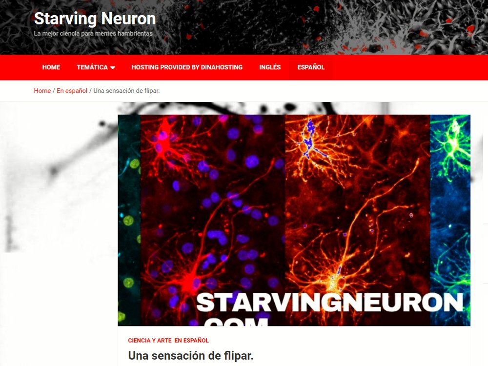 2014. Blog  Starving Neuron. 